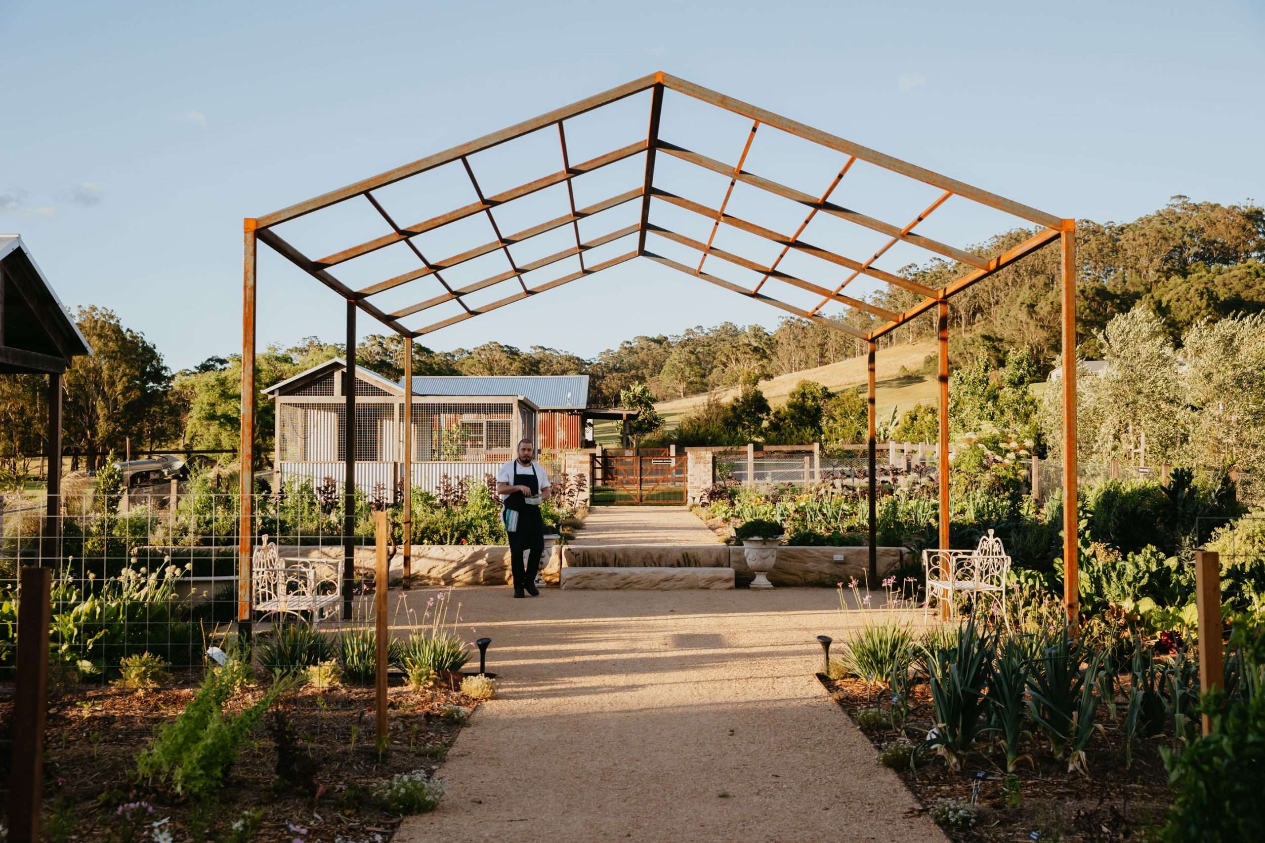 Sara Dining, Moraea Farm Berry NSW