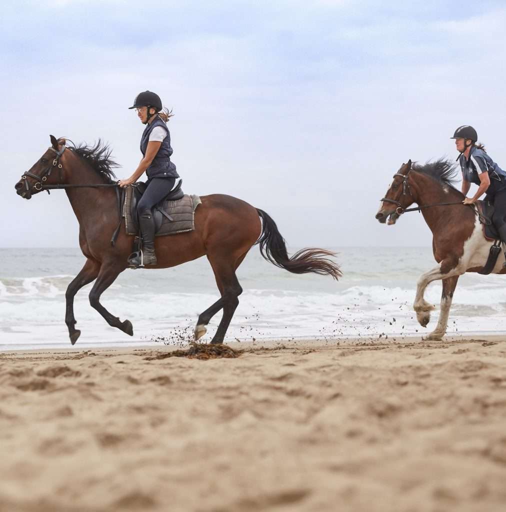 Horse riding experience