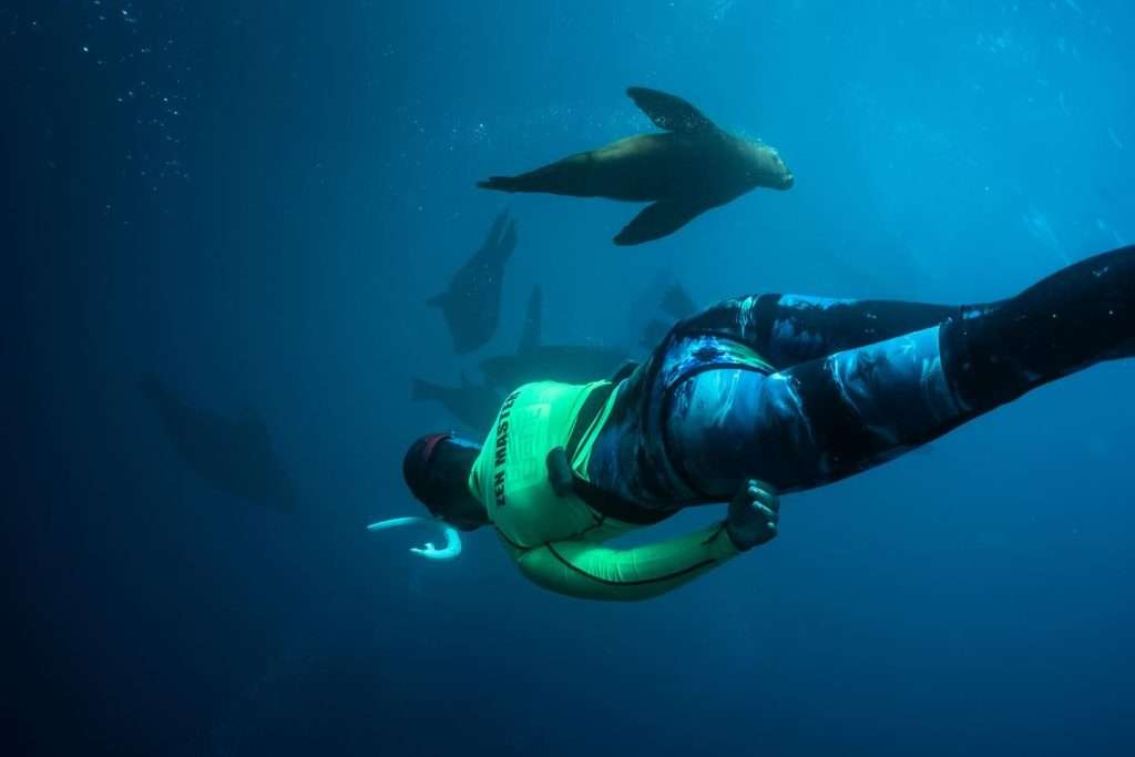 Snorkelling tours