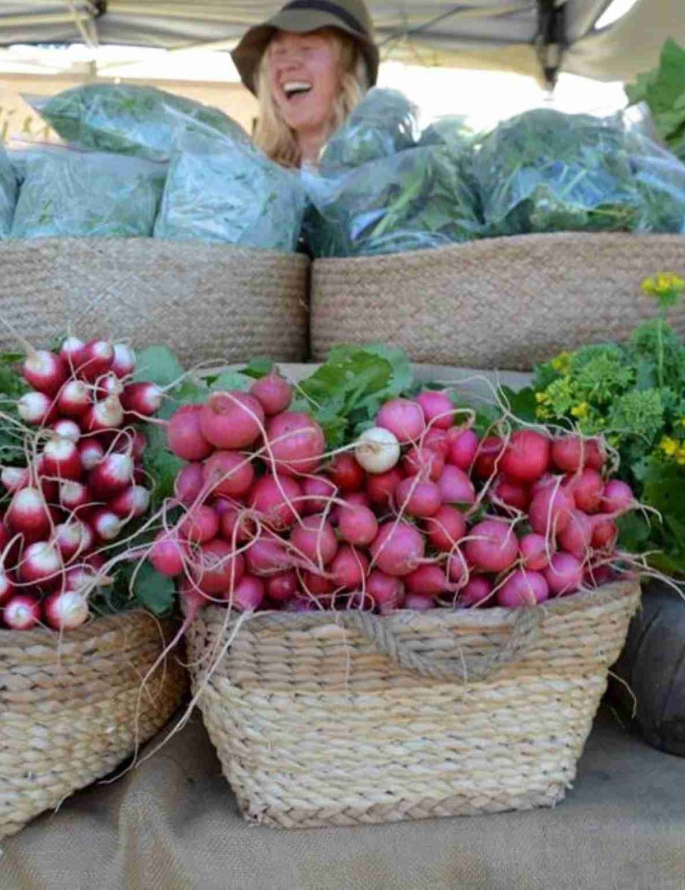 BERRY+FARMERS+MARKET+LINNAEUS+COLLECTION-blog7
