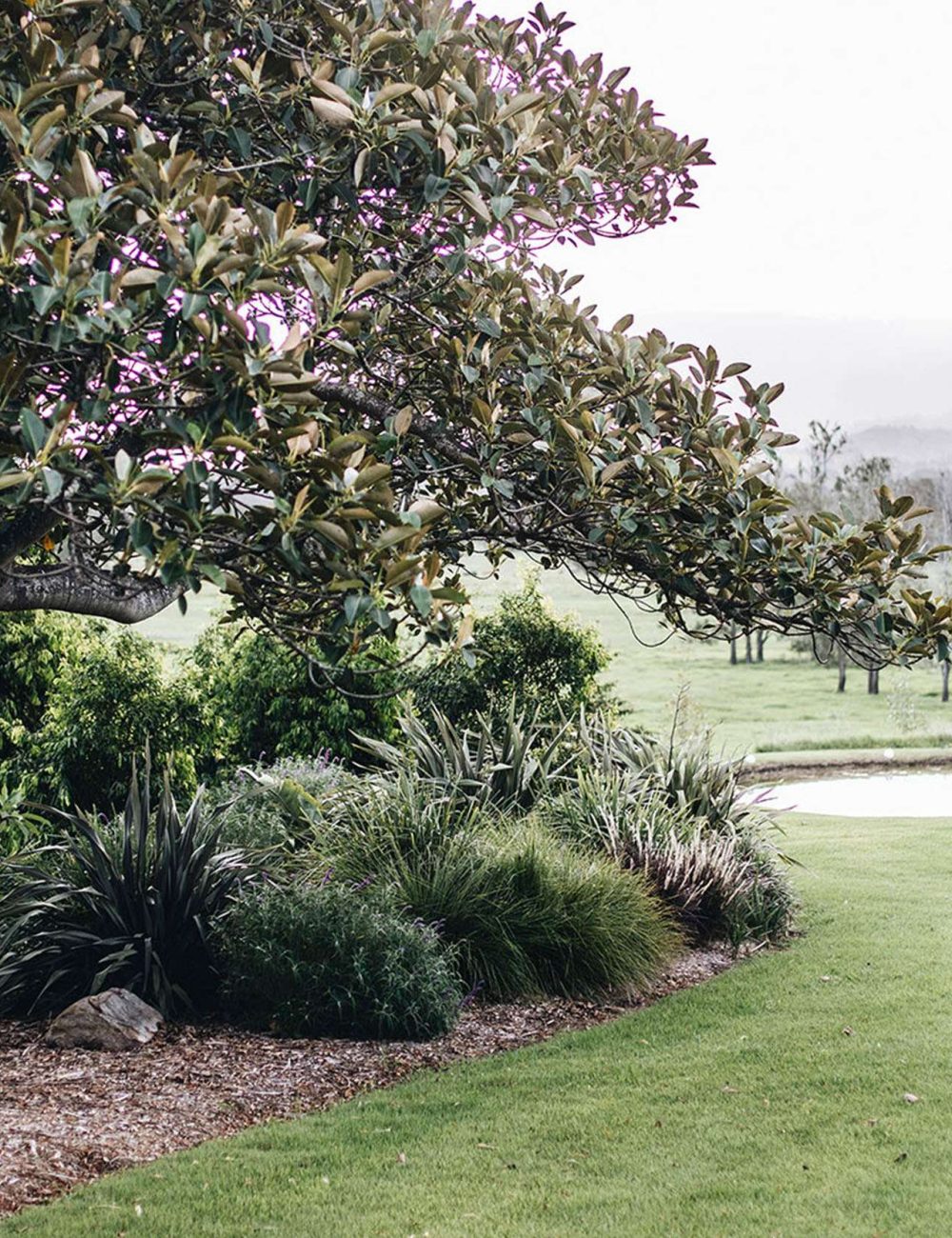 Linnaeus Farm Berry NSW