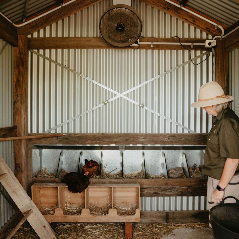 linnaeus-farm-linnaeus-collection-berry-nsw-luxury-holiday-homes-4