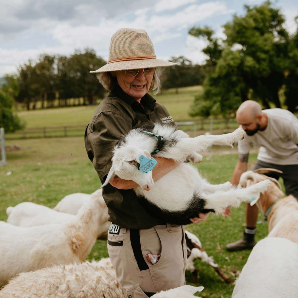 linnaeus-farm-linnaeus-collection-berry-nsw-luxury-holiday-homes-6