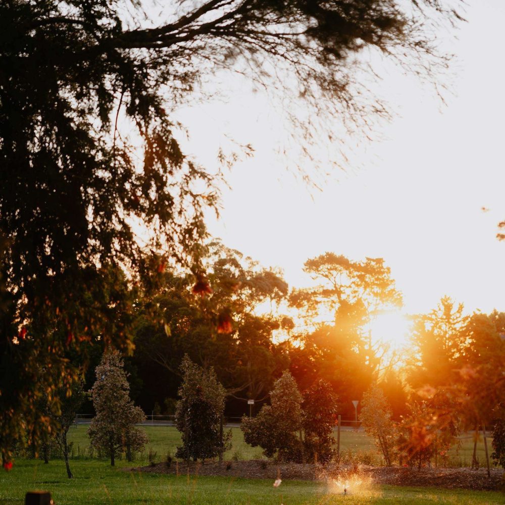 linnaeus-farm-linnaeus-collection-berry-nsw-luxury-holiday-homes